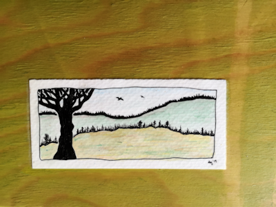 watercolour pen and ink of trees and west coast landscape